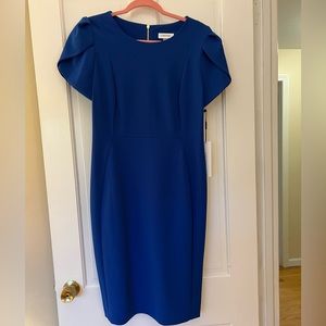 Calvin Klein royal blue dress with gold zipper up back.  NWT Size 14